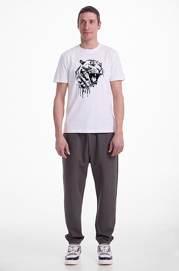 Брюки спортивные EMPORIO ARMANI